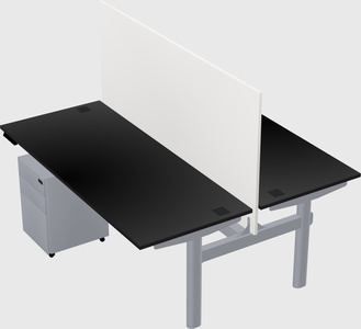 Shared electric desk