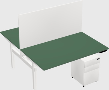 Shared electric desk