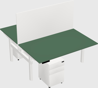 Shared electric desk