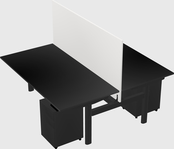 Shared electric desk
