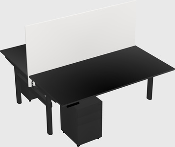 Shared electric desk
