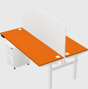Shared electric desk