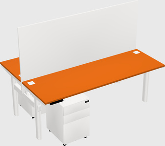 Shared electric desk