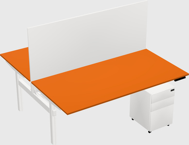 Shared electric desk