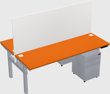 Shared electric desk