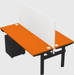 Shared electric desk