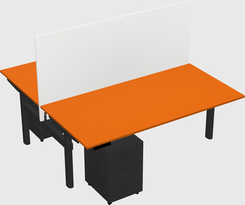 Shared electric desk