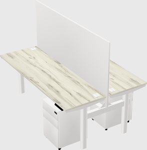 Shared electric desk