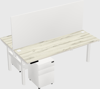 Shared electric desk