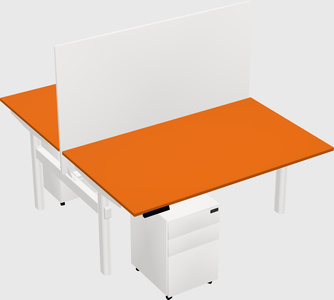Shared electric desk