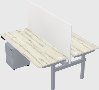 Shared electric desk