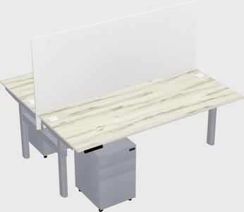 Shared electric desk