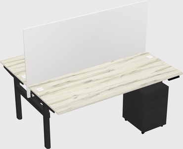 Shared electric desk