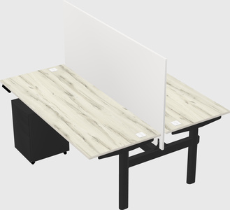 Shared electric desk