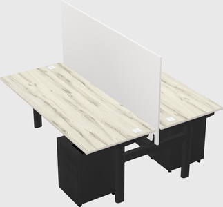 Shared electric desk