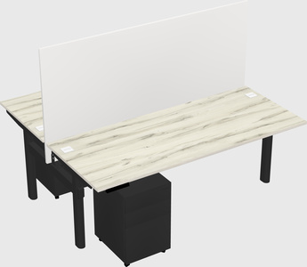 Shared electric desk