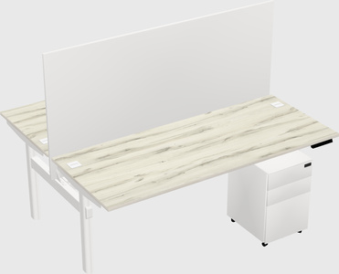 Shared electric desk
