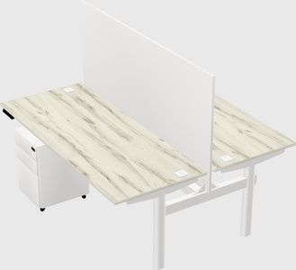 Shared electric desk