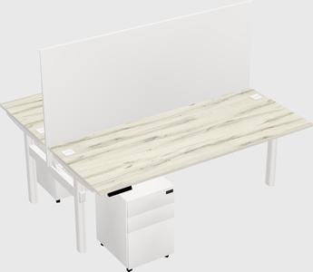 Shared electric desk