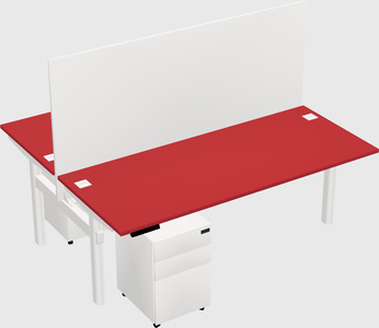 Shared electric desk