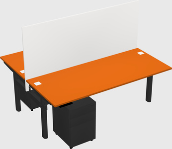 Shared electric desk