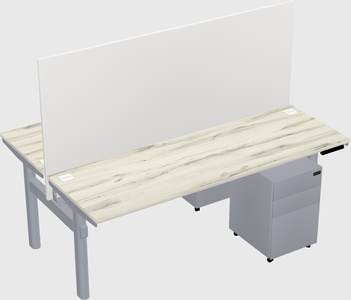 Shared electric desk
