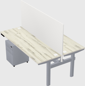Shared electric desk