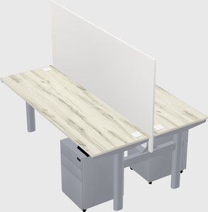 Shared electric desk