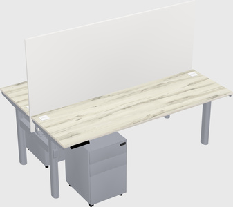 Shared electric desk