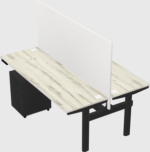 Shared electric desk