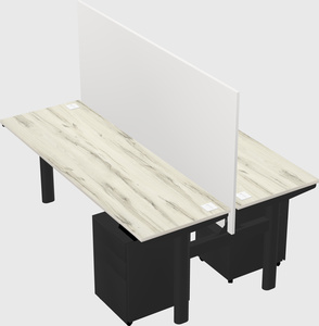 Shared electric desk