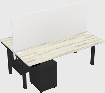 Shared electric desk