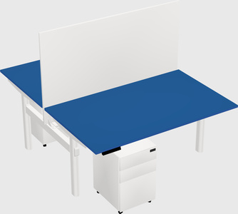 Shared electric desk