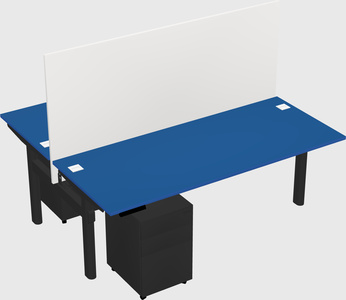 Shared electric desk