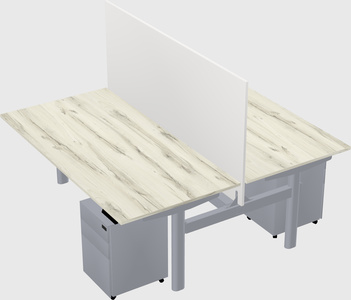 Shared electric desk