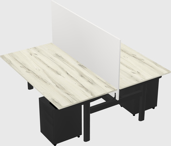 Shared electric desk