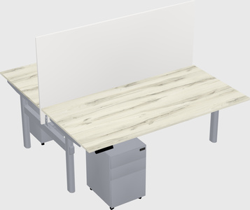 Shared electric desk