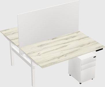 Shared electric desk