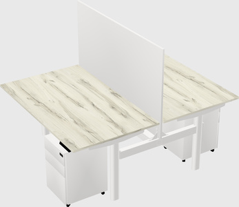Shared electric desk