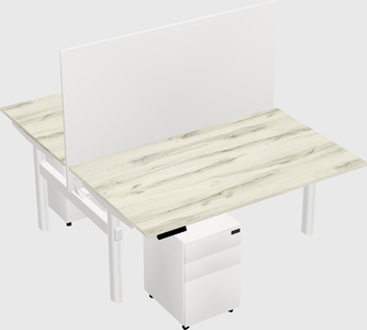 Shared electric desk