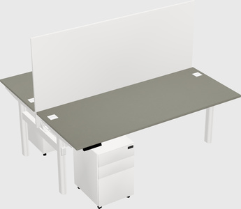 Shared electric desk