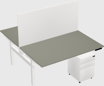Shared electric desk