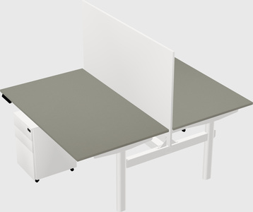 Shared electric desk
