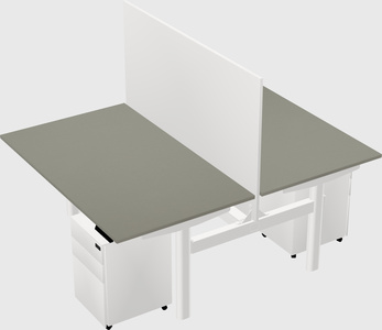 Shared electric desk