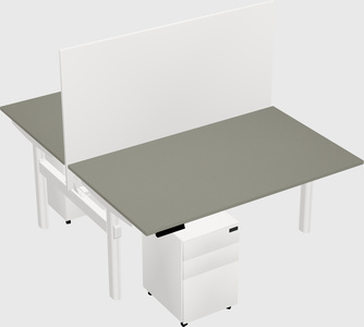 Shared electric desk