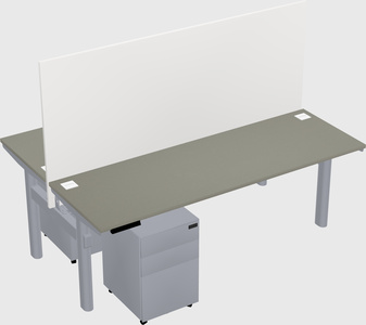 Shared electric desk
