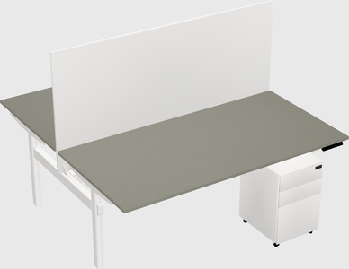 Shared electric desk