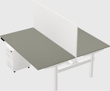 Shared electric desk