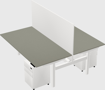 Shared electric desk