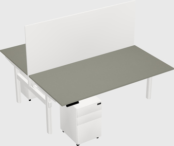 Shared electric desk